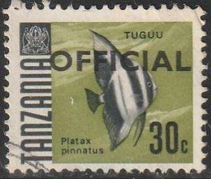THEMATIC OFFICIAL TANZANIA VFU