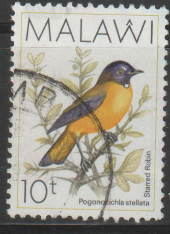 THEMATIC BIRDS MALAWI ULH