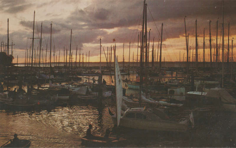 MINT POST CARD