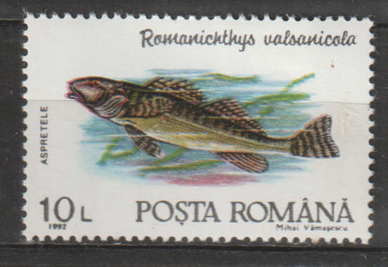 THEMATIC FISH ROMANIA MM