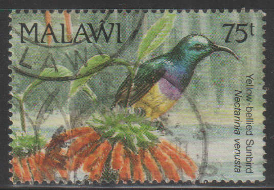 THEMATIC BIRDS MALAWI ULH