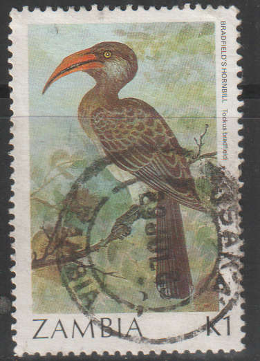 THEMATIC BIRDS ZAMBIA VFU
