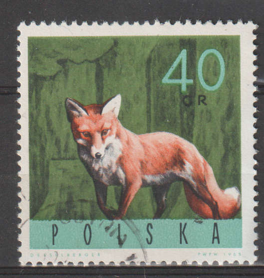 THEMATIC ANIMALS POLAND ULH