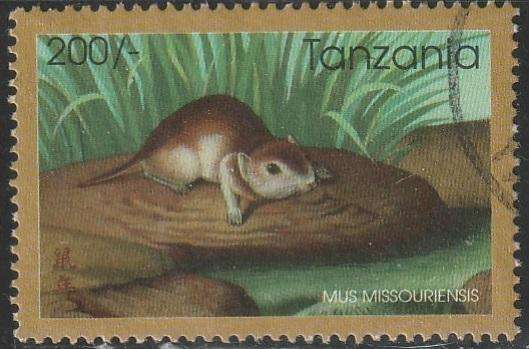 THEMATIC ANIMALS TANZANIA VFU