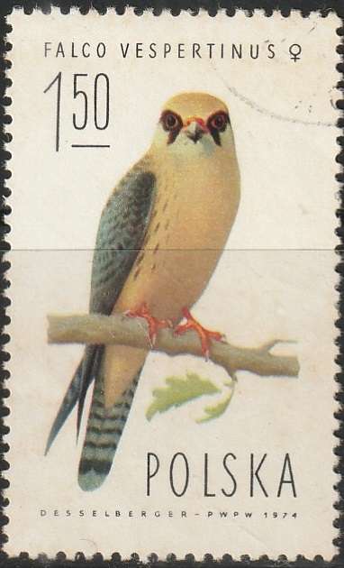 THEMATIC BIRDS POLAND ULH