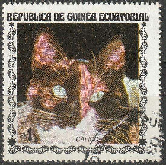 THEMATIC CATS EQUATORIAL GUINEA ULH