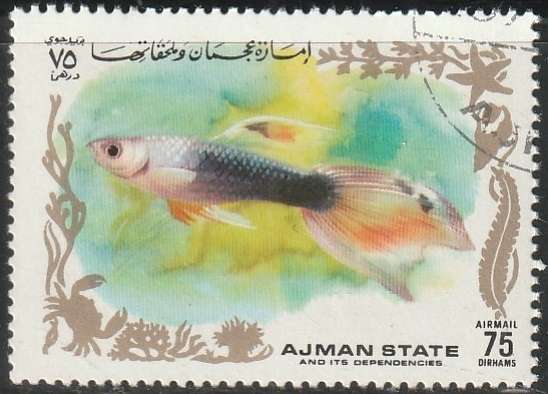 THEMATIC FISH AJMAN ULH