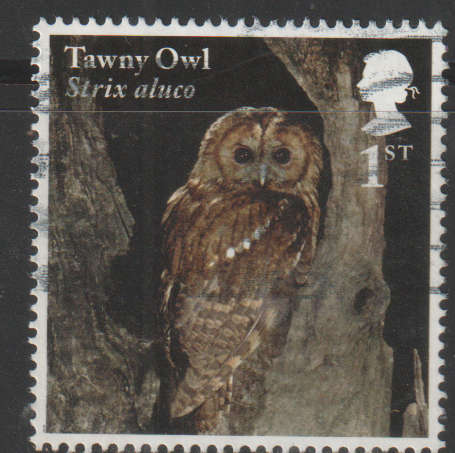 ENGLAND 2018 Birds - Owls UNH SG 4084