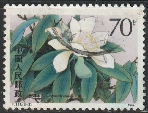 THEMATIC FLOWERS CHINA ULH