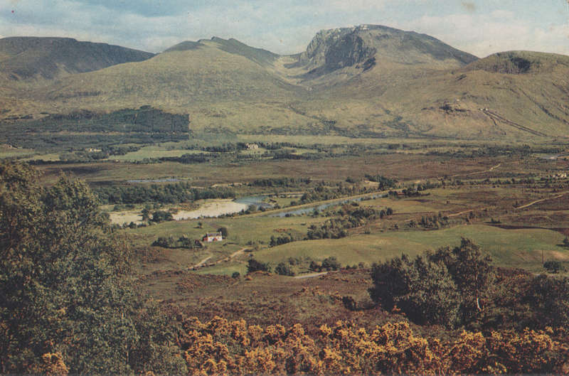 MINT POST CARD