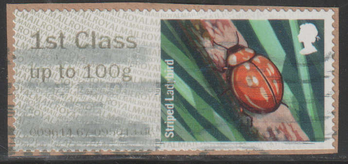 ENGLAND LABEL