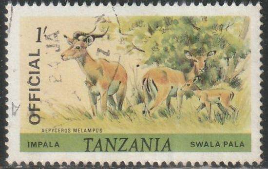 THEMATIC OFFICIAL TANZANIA VFU