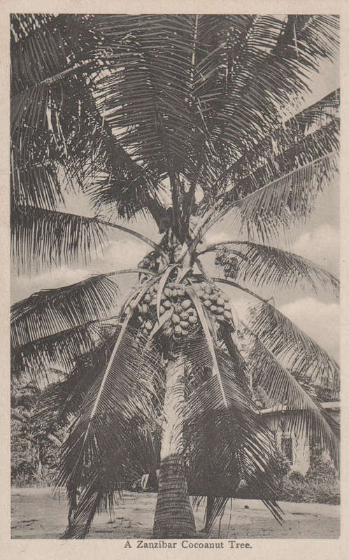 MINT POST CARD