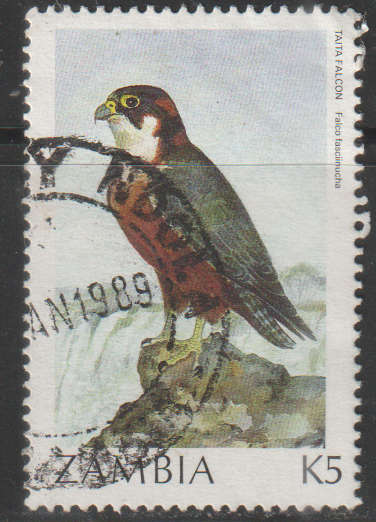 THEMATIC BIRDS ZAMBIA VFU