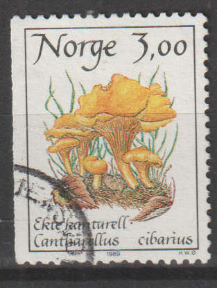 NORWAY 1989 Edible mushrooms UNH SG 1052