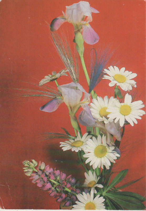 USED POST CARD