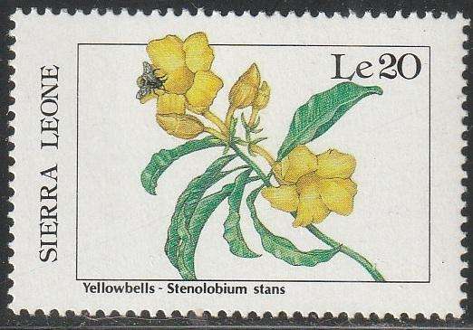 THEMATIC FLORA SIERA LEONE MM