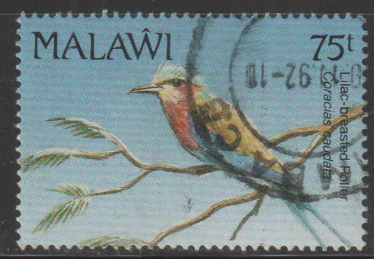 THEMATIC BIRDS MALAWI ULH