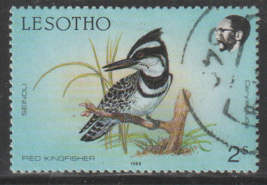 THEMATIC BIRDS LESOTHO ULH