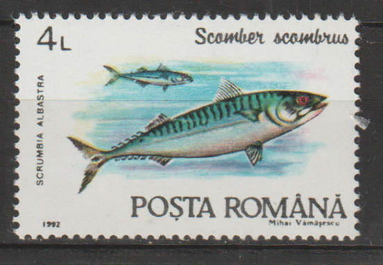THEMATIC FISH ROMANIA MM