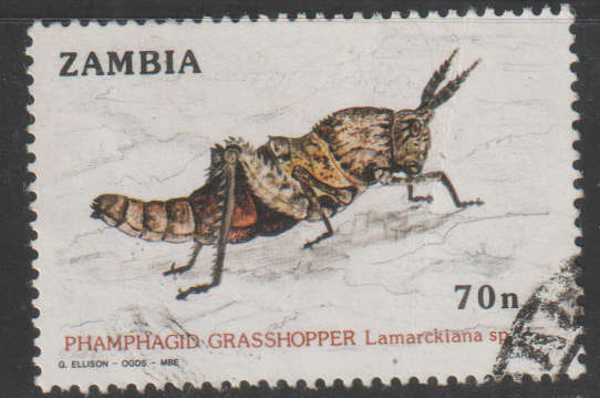 THEMATIC INSECTS ZAMBIA VFU