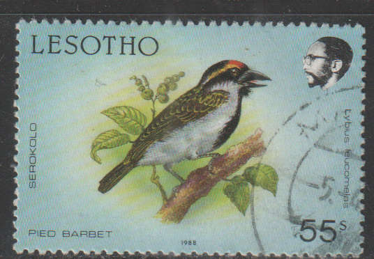 THEMATIC BIRDS LESOTHO ULH