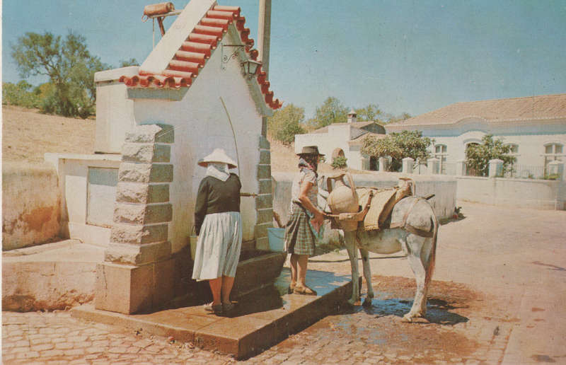 MINT POST CARD