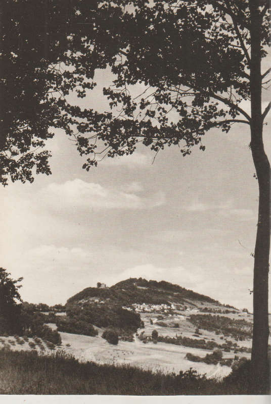 MINT POST CARD