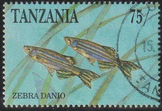 TANZANIA 1991 Aquarium Fish VFU SG 1021