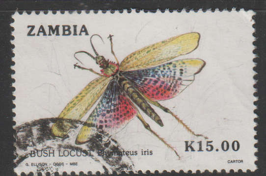 THEMATIC INSECTS ZAMBIA VFU