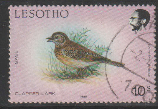 THEMATIC BIRDS LESOTHO ULH