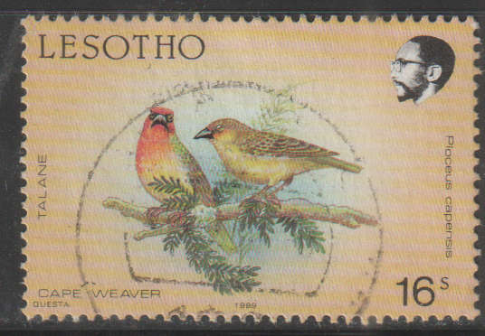 THEMATIC BIRDS LESOTHO ULH
