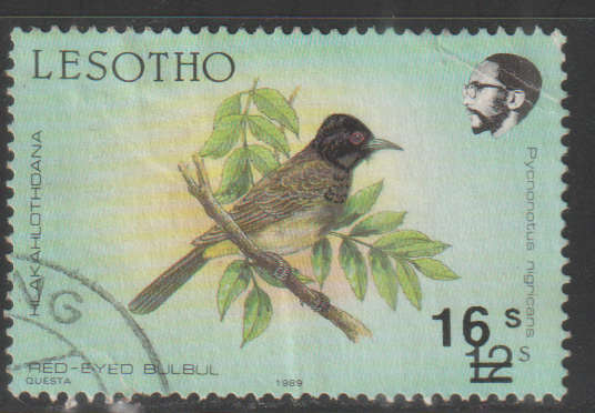THEMATIC BIRDS LESOTHO ULH