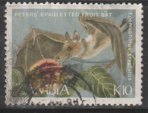 THEMATIC BATS ZAMBIA VFU