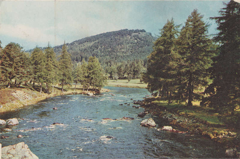MINT POST CARD
