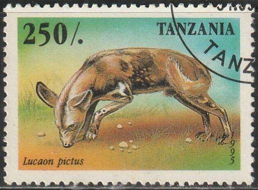 THEMATIC ANIMALS TANZANIA VFU