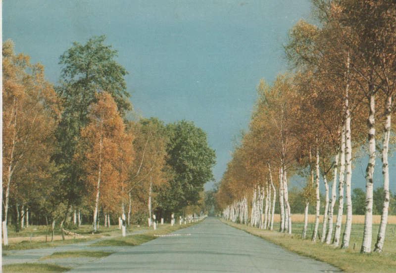 MINT POST CARD