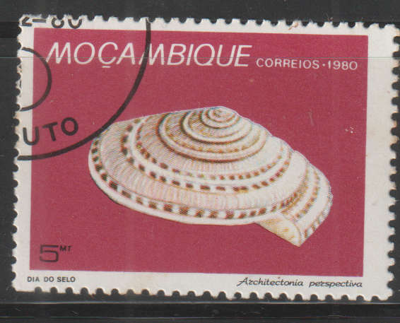 THEMATIC SHELLS MOZAMBIQUE ULH