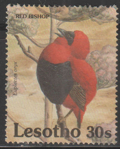 THEMATIC BIRDS LESOTHO ULH