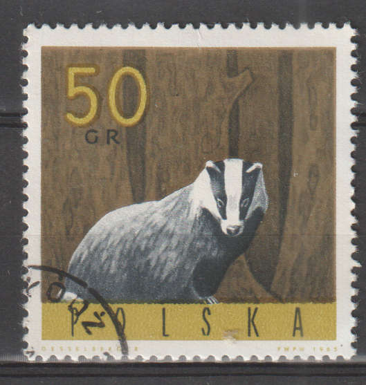 THEMATIC ANIMALS POLAND ULH