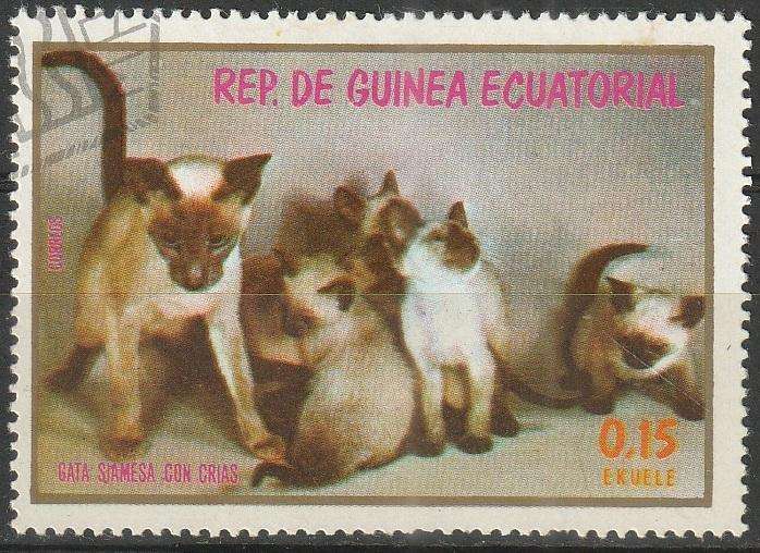 THEMATIC CATS EQUATORIAL GUINEA ULH