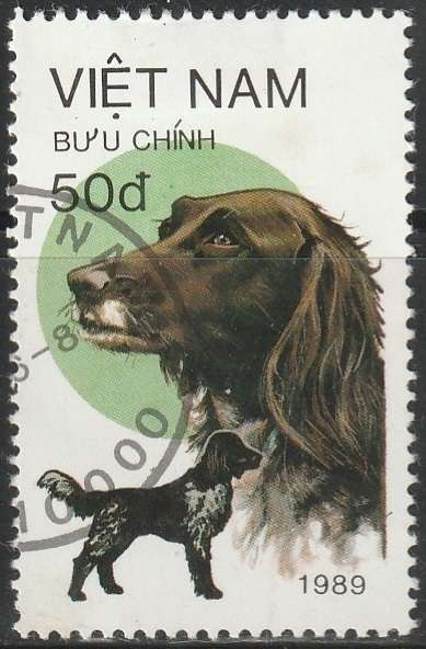 THEMATIC DOGS VIETNAM ULH