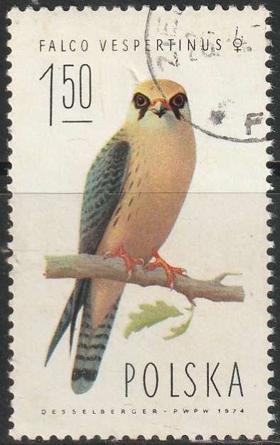 THEMATIC BIRDS POLAND ULH