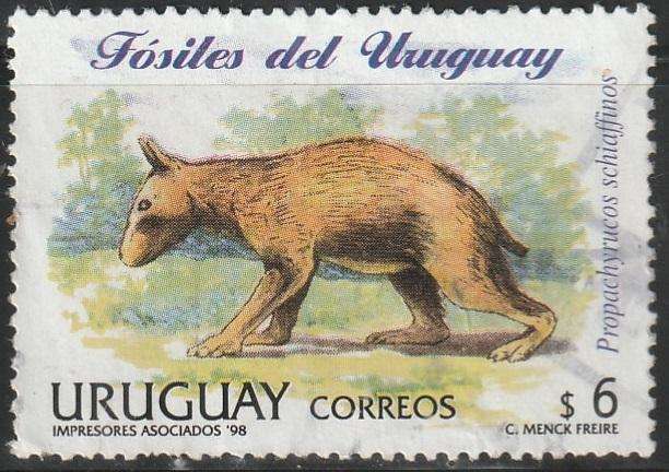 THEMATIC ANIMALS URUGUAY VFU