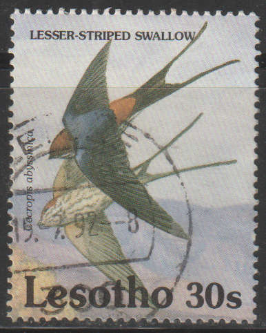 THEMATIC BIRDS LESOTHO ULH