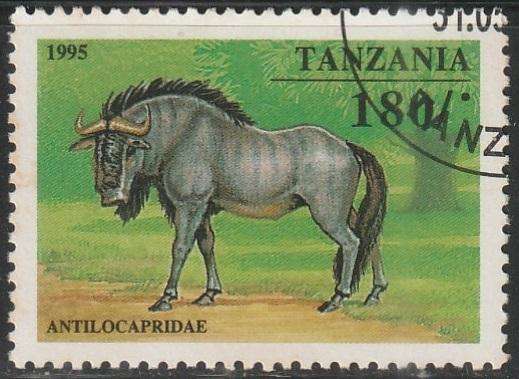 THEMATIC ANIMALS TANZANIA VFU