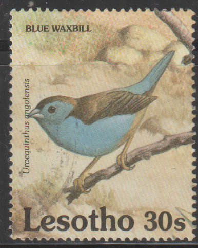 THEMATIC BIRDS LESOTHO ULH