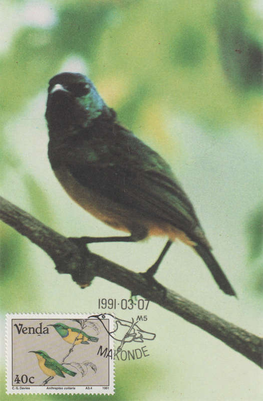 MINT VENDA POST CARD/MAXI CARD