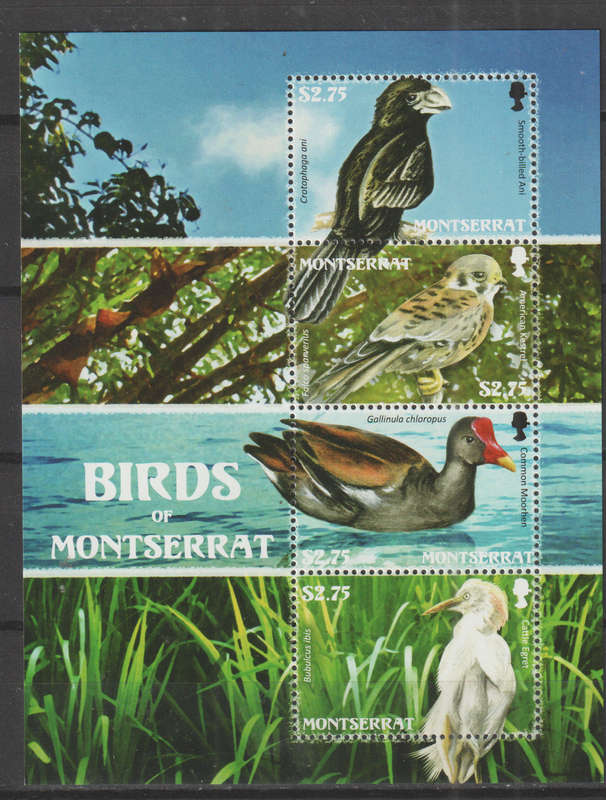 MONTSERRAT 2009 Fauna - Birds of Montserrat UMM SG MS1428