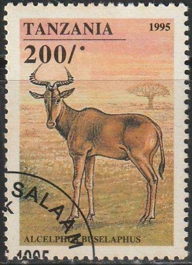 THEMATIC ANIMALS TANZANIA VFU